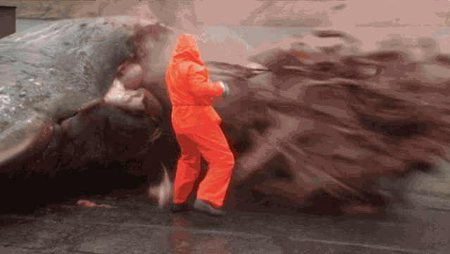 That's a whole lotta whale guts